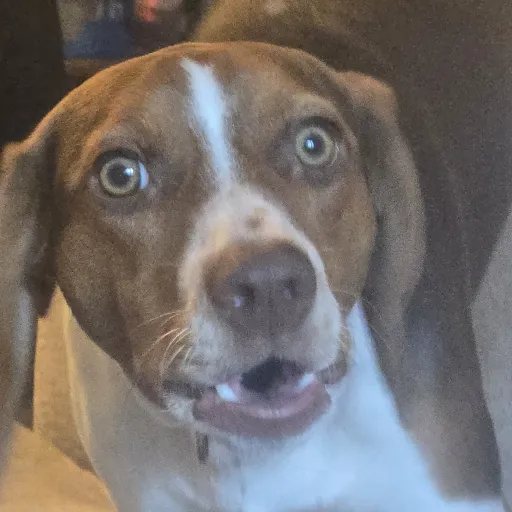 creator KSkipper2011's avatar