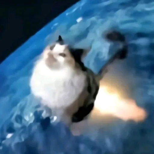 creator POOPING UP's avatar