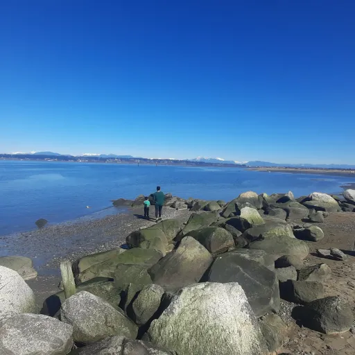 creator alex4445's avatar