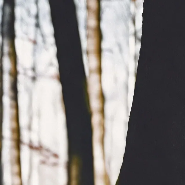 chat with ai character: CULAPCULIP!! 