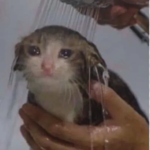 creator Juliette_Pradana's avatar