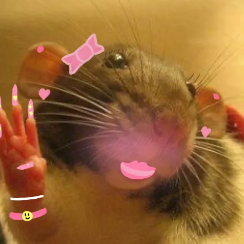 creator Talkior-2oQsKO8p's avatar