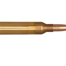 chat with ai character: Bullet