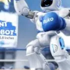 chat with ai character: Ruko 1088