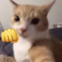 creator Sukiii!!! 🧇's avatar