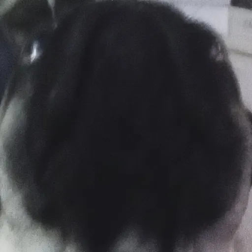 creator ¡Randomman!'s avatar