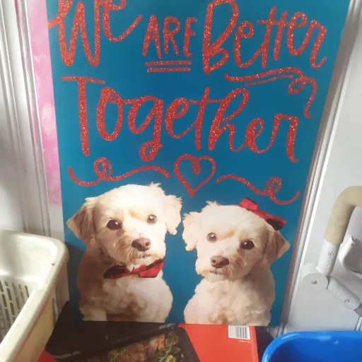 creator millythepup's avatar