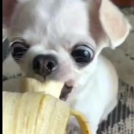 creator hi_youmonkeh_-_-'s avatar