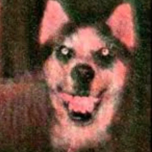 creator Shadow2030's avatar