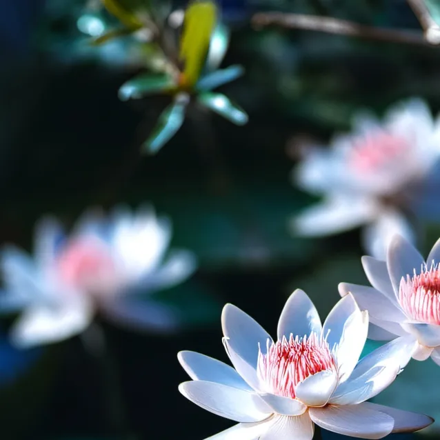 chat with ai character:  𝐶𝑜𝑙𝑏𝑦 𝑏𝑟𝑜𝑐𝑘