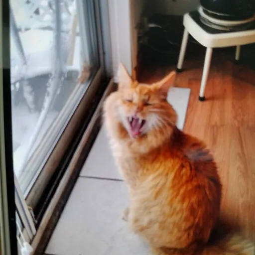 creator KitCatgaming48's avatar