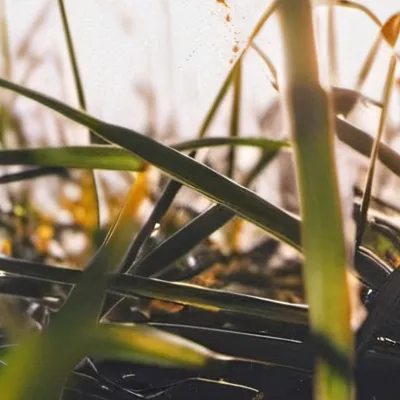 chat with ai character: GO TOUCH GRASS