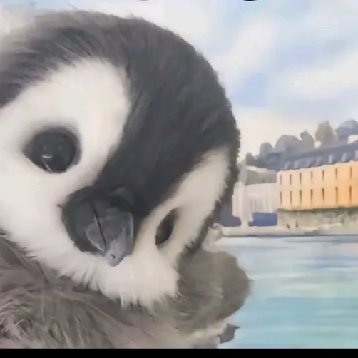 talkie's author avatar