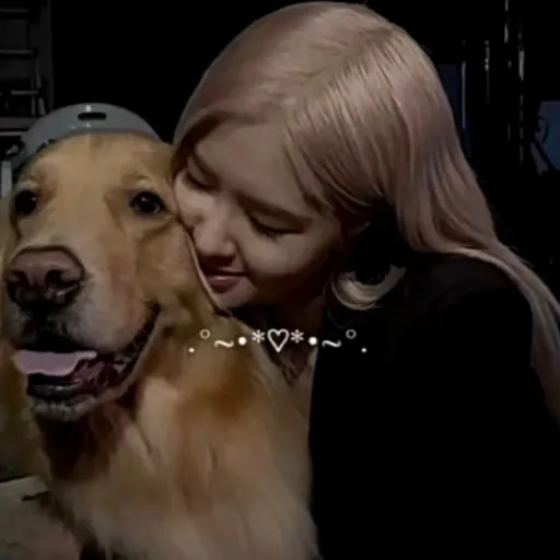 creator ☕️👌sipstea's avatar