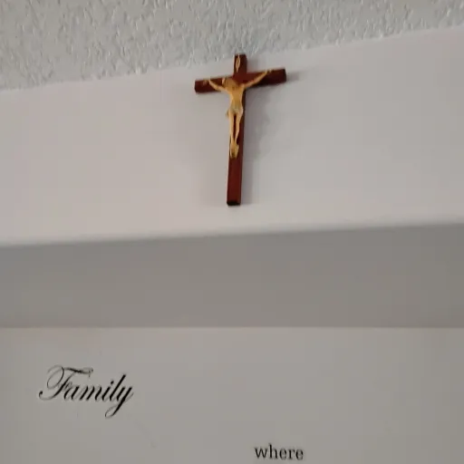 creator AM SORRY FOR TRAMA's avatar