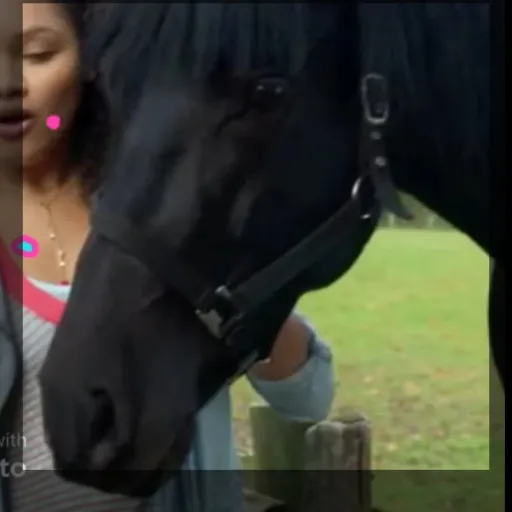 creator Raven TheHorse's avatar