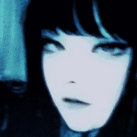 creator Shane Amber's avatar