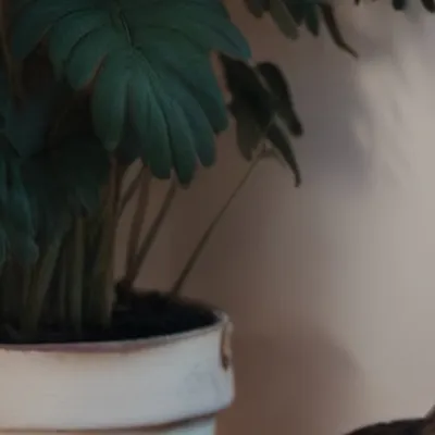 chat with ai character: Salem 