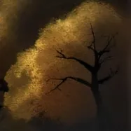 chat with ai character: N