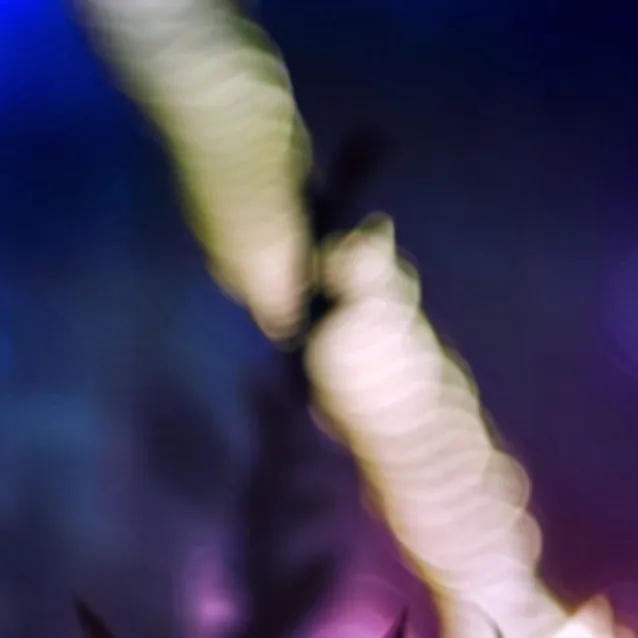 chat with ai character: the dark crew