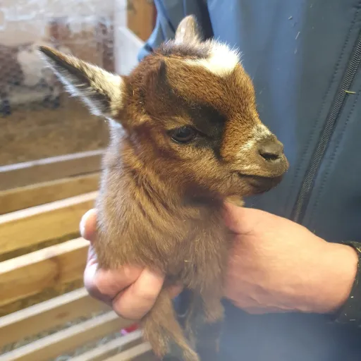 creator Bianca 678's avatar