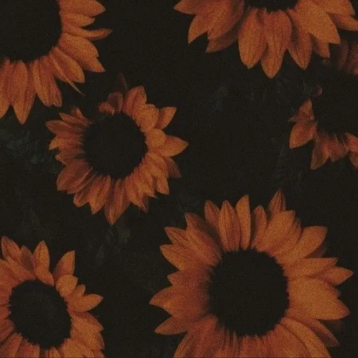 creator 🎃☆Leo☆🎃's avatar