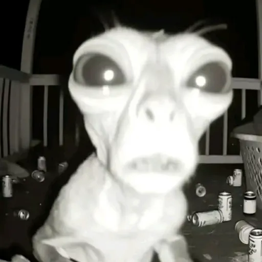 creator Lil_Alien's avatar