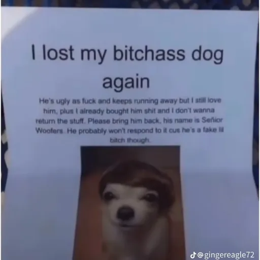 creator ★Koi-ko★'s avatar