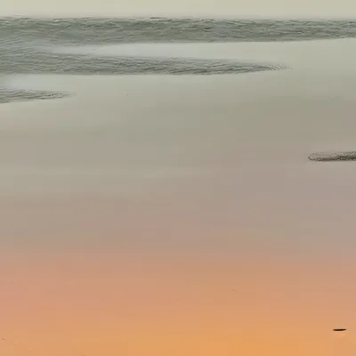 chat with ai character: QRS