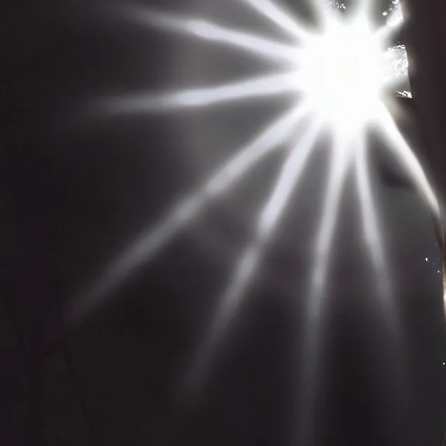 chat with ai character: Amber