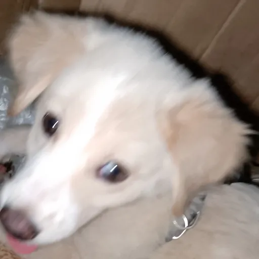 creator Laitasakamakivamp😈's avatar