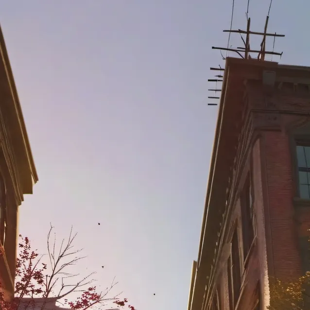 chat with ai character: HH Zombies 