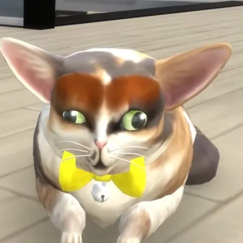 creator Loser’s Choice's avatar