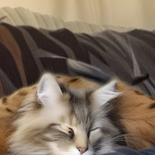 chat with ai character: Sophie