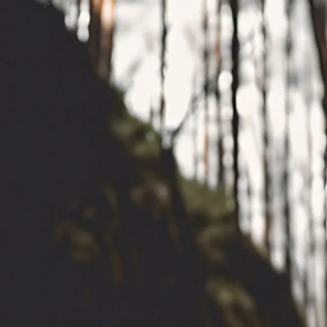 chat with ai character: Earth