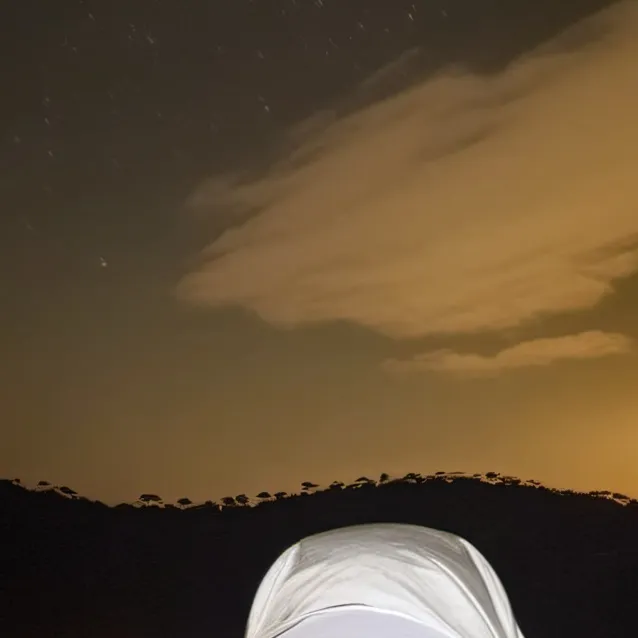 chat with ai character: A random person🤷