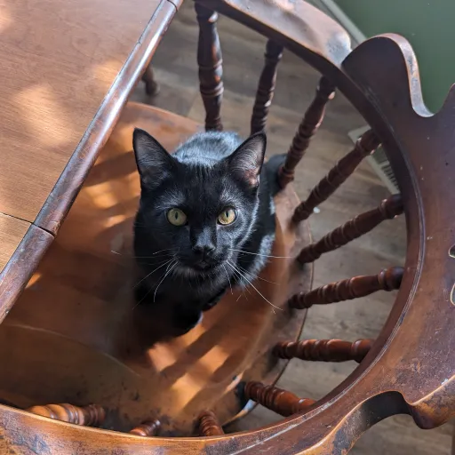 creator Jerry128's avatar