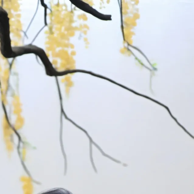 chat with ai character: suntingqida