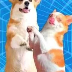 creator Crunchyfunkyfeet😋😋's avatar