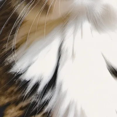 chat with ai character: Nameless