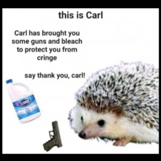 creator heidhf's avatar