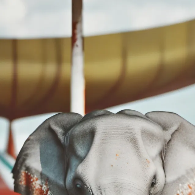 chat with ai character: TADC