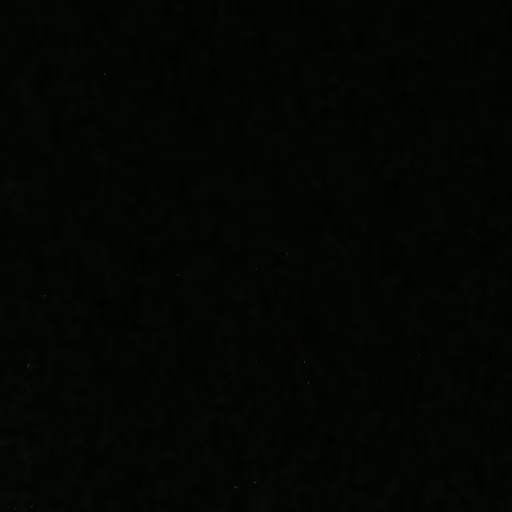 creator foxwithu_official's avatar