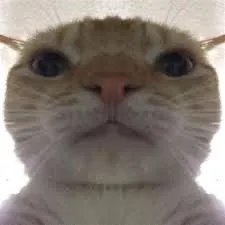 creator Its_ME:)'s avatar