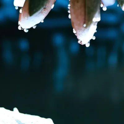 chat with ai character: Cole Duke 