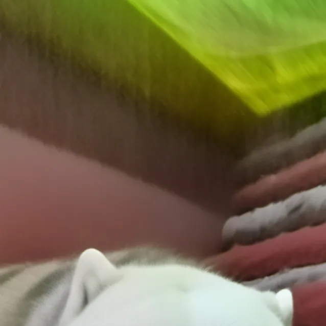 chat with ai character: Aaron