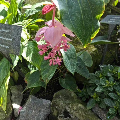 creator sam the jam's avatar