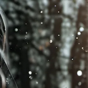 chat with ai character: why are you here ?