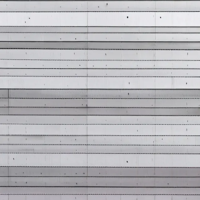 chat with ai character: Family destroyed 