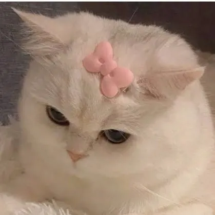 creator l1tt13k1tt3n's avatar